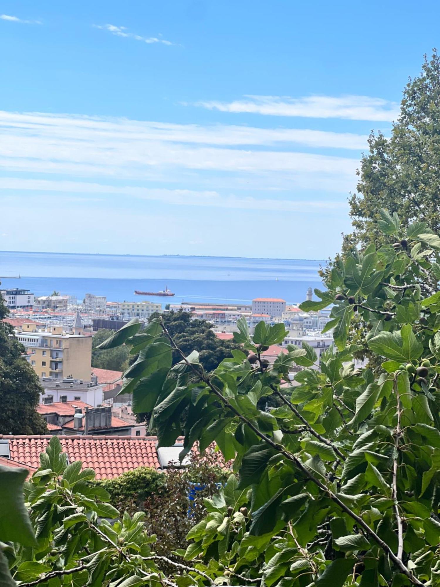 Appartamento Al Castello Trieste Eksteriør billede